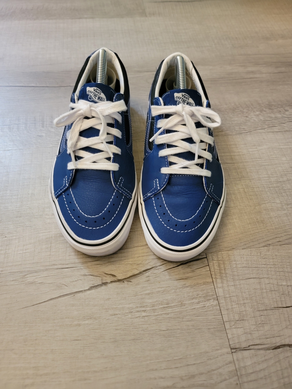 Vans Men's Blue Low-Top Skate Shoes